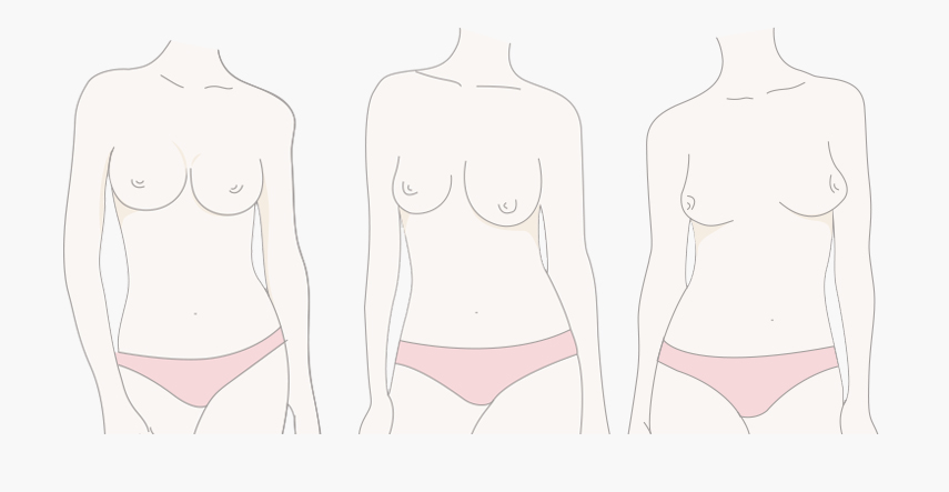 胸型分辨怎麼看？常見的胸型種類有哪幾種？PTT網友共通疑問